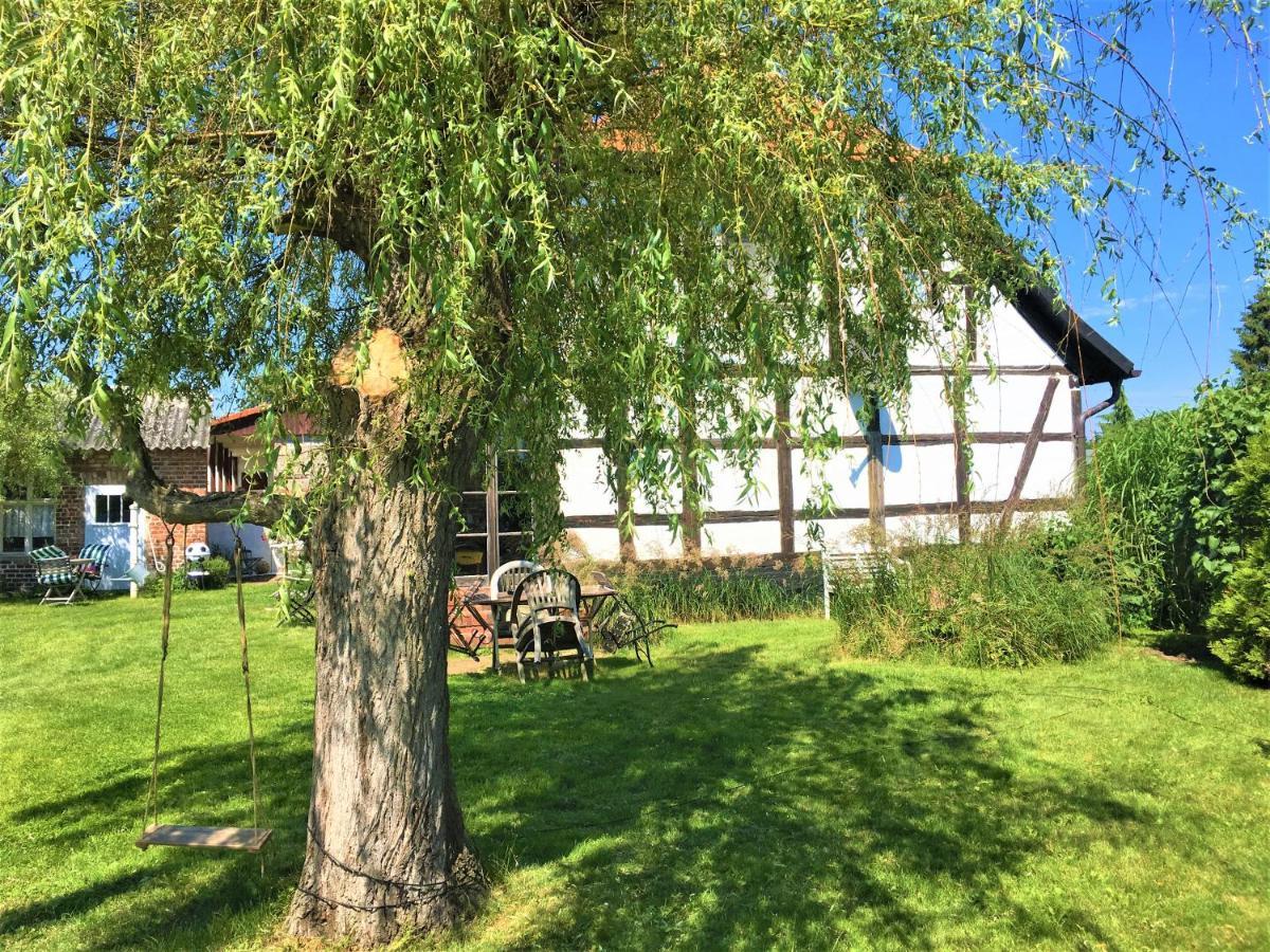 Fischerhaus Godewind 60 Qm Altwarp Extérieur photo